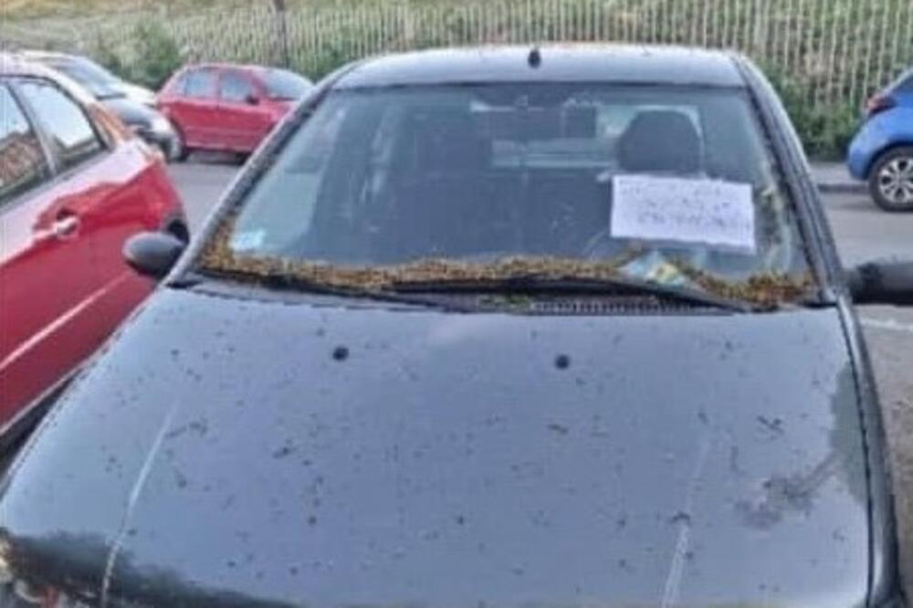 "ČUJE SE MAČE POD HAUBOM": Važna PORUKA zalepljena na vozilo na Vračaru! (FOTO)
