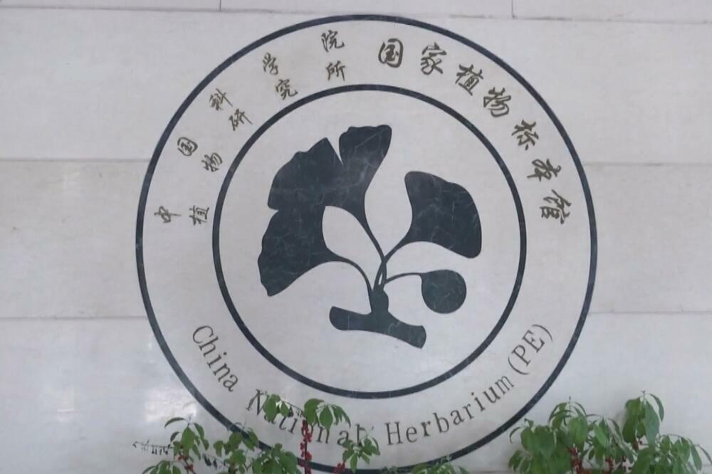 U najvećem botaničkom muzeju u Aziji čuva se 2,87 miliona primeraka biljaka VIDEO
