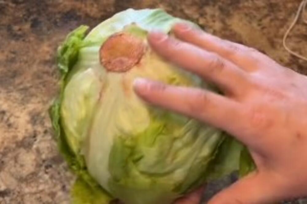 CELOG ŽIVOTA POGREŠNO SEČETE ZELENU SALATU: Dovoljan je samo 1 POKRET RUKE (VIDEO)