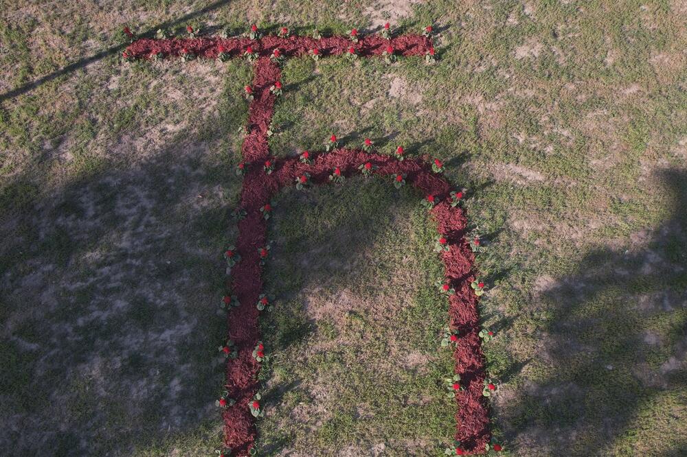OVAJ PARK JE JEDINSTVEN NA CELOM BALKANU, A OTVOREN JE U BAJINOJ BAŠTI: Oduševićete se! (FOTO)