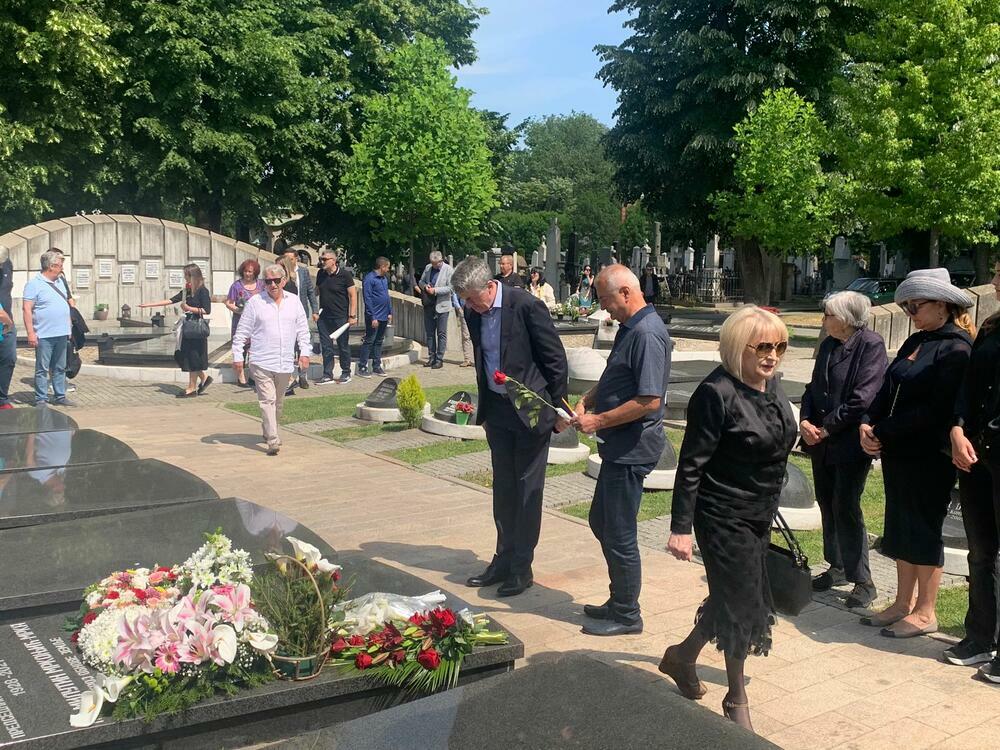 Ana Bekuta, Milutin Mrkonjić