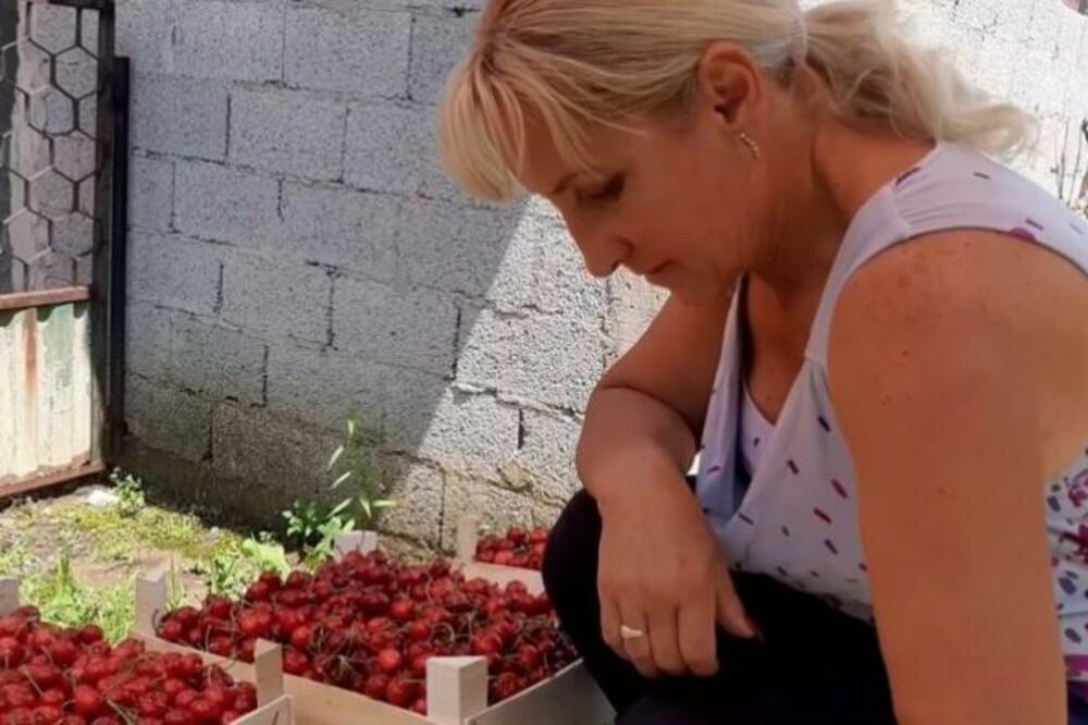 MISLIMO DA JE NAJZDRAVIJE VOĆE, A DOVODI DO OPASNE STVARI: Ovaj ORGAN će u potpunosti da STRADA