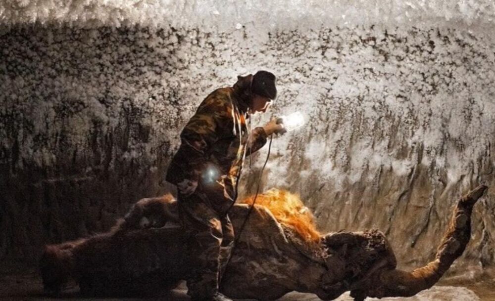 Čudovište/Ilustracija