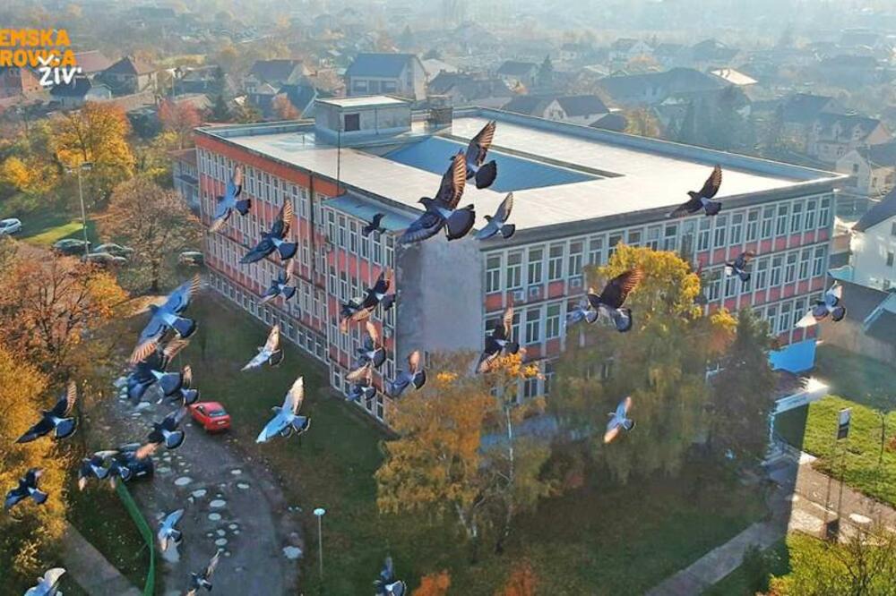 SREMSKA MITROVICA: Kratkim visokoškolskim studijskim programima DO STRUČNJAKA U PRIVREDI