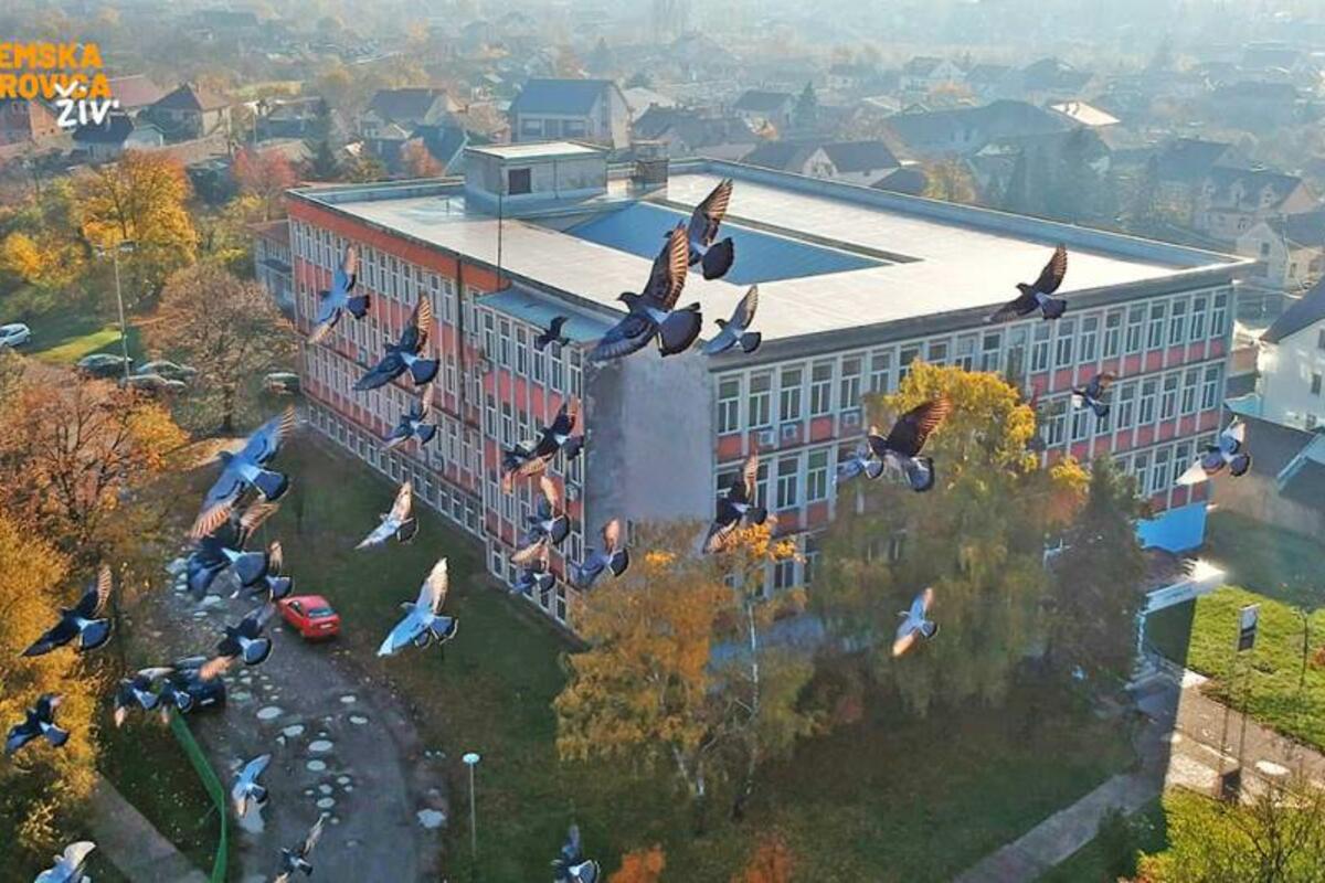 SREMSKA MITROVICA Kratkim visokoškolskim studijskim programima DO