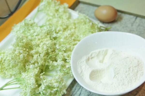 E, OVO JOŠ NISTE PROBALI SIGURNO: Pohovana ZOVA, domaćice, šta mislite? (RECEPT)