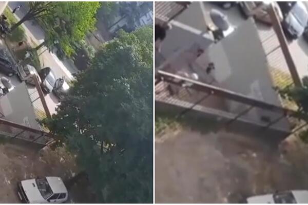 VRANE NASTAVLJAJU DA ZLOSTAVLJAJU LJUDE: Urnišu BEOGRAĐANE, jednom čoveku RASKRVARILE GLAVU! (VIDEO)