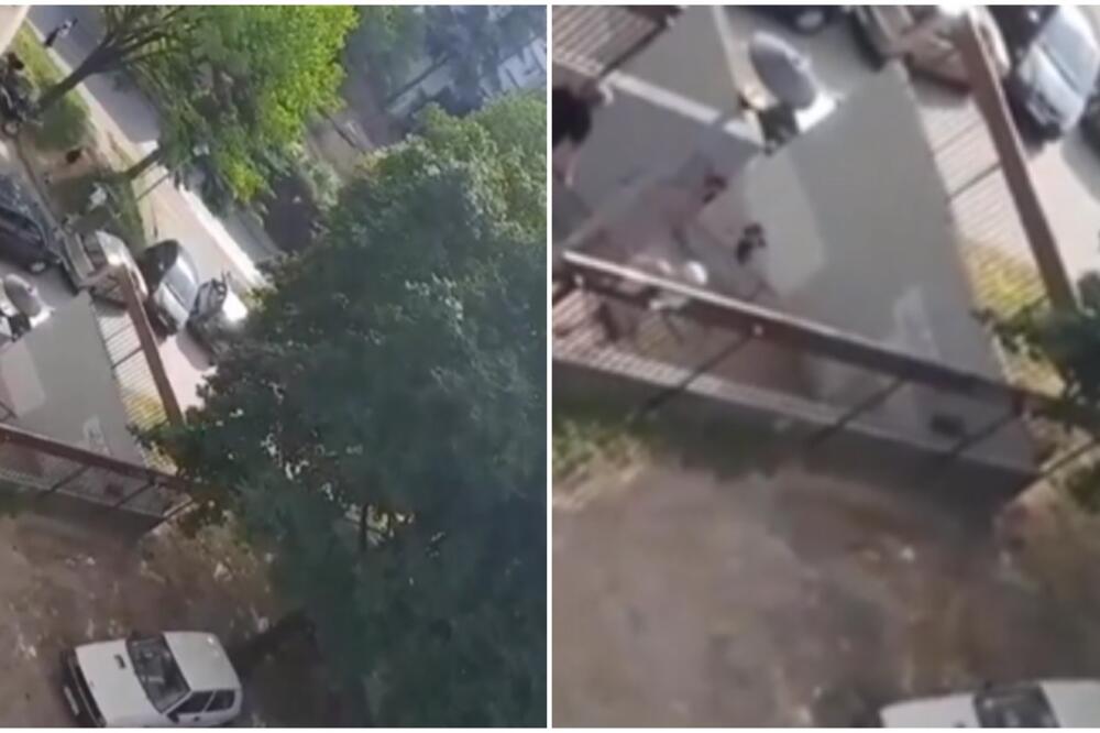 VRANE NASTAVLJAJU DA ZLOSTAVLJAJU LJUDE: Urnišu BEOGRAĐANE, jednom čoveku RASKRVARILE GLAVU! (VIDEO)