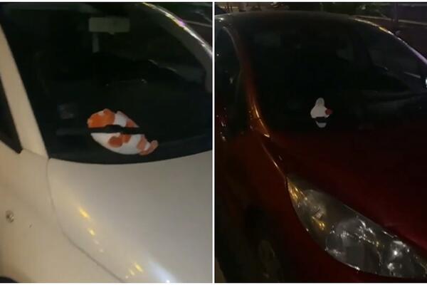 ŽIVEĆE OVAJ NAROD! Čovek na Vračaru išao od auta do auta, ono što je radio je NEVEROVATNO, i ne niko nije oštećen