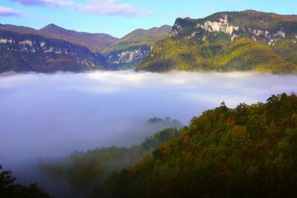Lepota prirode, ekologije i biodiverziteta u Kini (VIDEO)