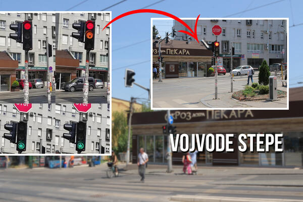 ZELENI SE MARIHUANA U VOJVODE STEPE! Ceo Beograd gledao u ČUDAN semafor, otkrili smo šta se krije iza njega! (FOTO)