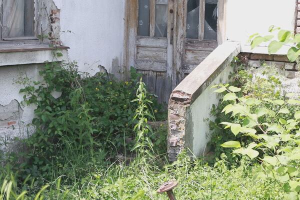"UZ OGRADU SIPAMO SODU BIKARBONU I POSTAVLJAMO BARIKADE": Velika legla ZMIJA u Čačku! Stanari u PANICI! (FOTO)