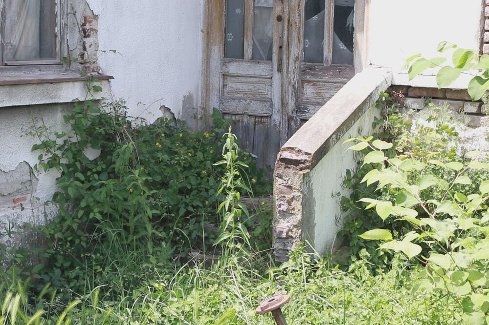 "UZ OGRADU SIPAMO SODU BIKARBONU I POSTAVLJAMO BARIKADE": Velika legla ZMIJA u Čačku! Stanari u PANICI! (FOTO)