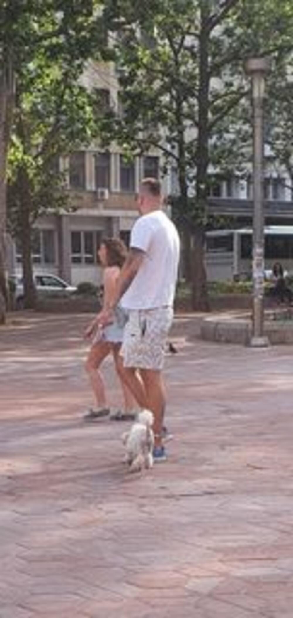 Marko Janjušević Januš