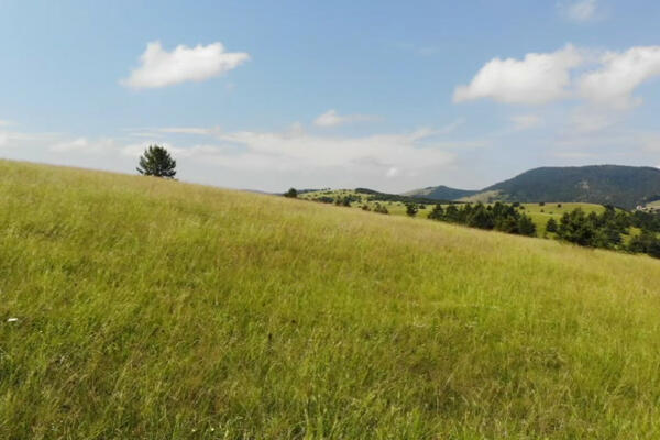 VLASNIK TRAŽI 3,7 MILIONA EVRA ZA ZEMLJIŠTE NA SRPSKOJ PLANINI: Cene EKSPLODIRALE, ko ovde ima AR pravi je SREĆNIK!