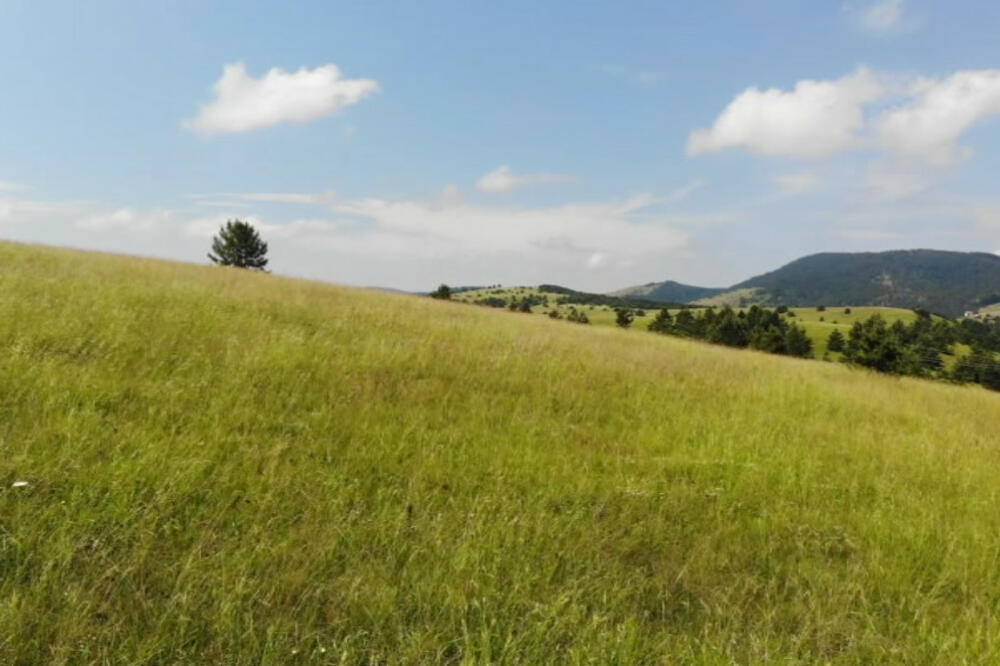 VLASNIK TRAŽI 3,7 MILIONA EVRA ZA ZEMLJIŠTE NA SRPSKOJ PLANINI: Cene EKSPLODIRALE, ko ovde ima AR pravi je SREĆNIK!