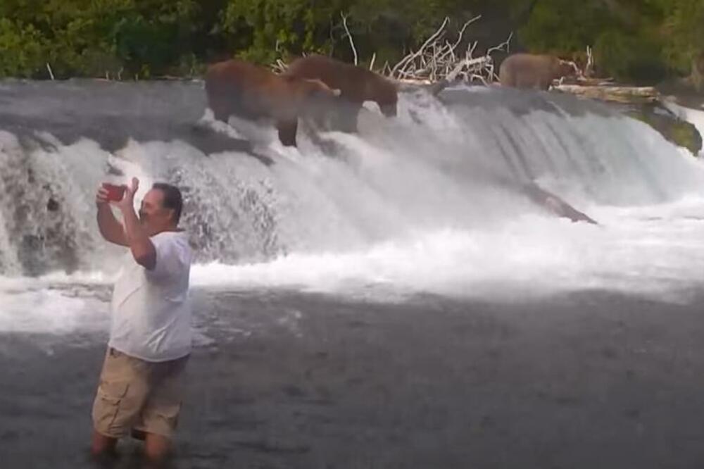 PIJANI ULETELI MEĐU ŠEST MEDVEDA: Slučaj završio KOBNO PO DŽEPU, ČAK IH I ADVOKAT RAZAPEO! (VIDEO)
