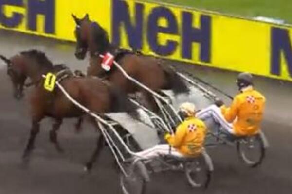 I JA KONJA ZA TRKU IMAM: Jokić zvezda spektakla, Šveđani gledali kako se NBA MVP provozao dvokolicama! (VIDEO)