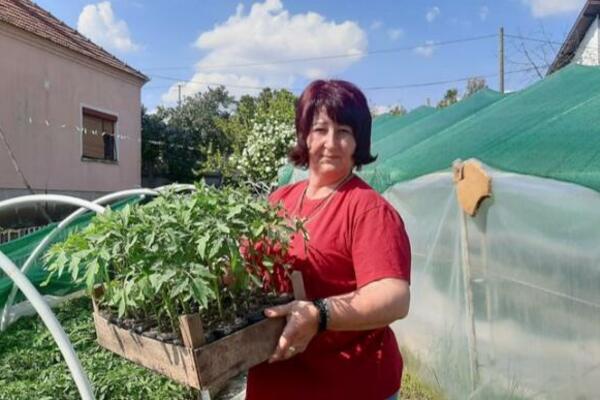 NAJBOLJE KALEMLJENE LUBENICU SU IZ RAJKOVCA KOD TOPOLE: Jelena je majstorstvo U KRVI, zanat učila od oca (FOTO)