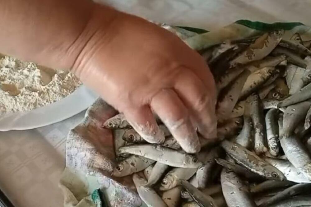 OVO JE JEDINA RIBA KOJA SE NE ČISTI I JEDE SE CELA! Nikad ne biste pogodili da je O NJOJ REČ (RECEPT)