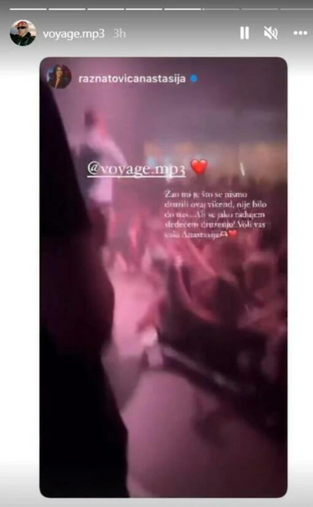 Anastasija Ražnatović