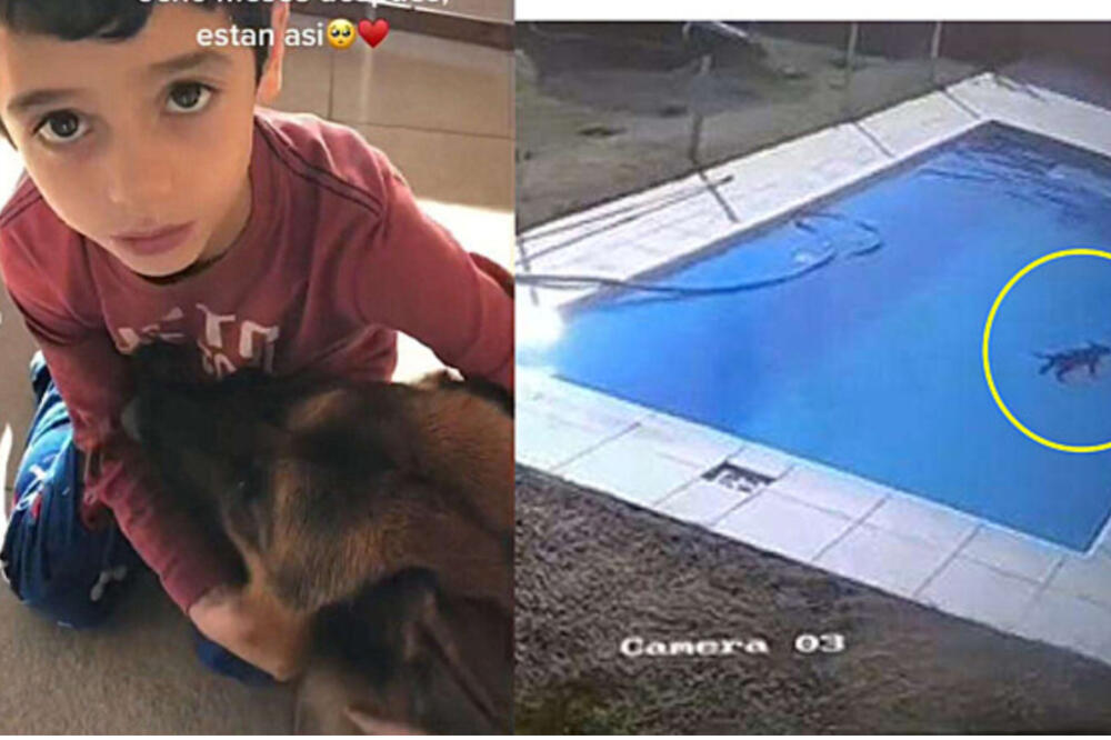 TIK TOKOM KRUŽI JEZIV SNIMAK! Dečak želeo da spase psa koji se DAVIO U BAZENU - usledila borba za DVA ŽIVOTA