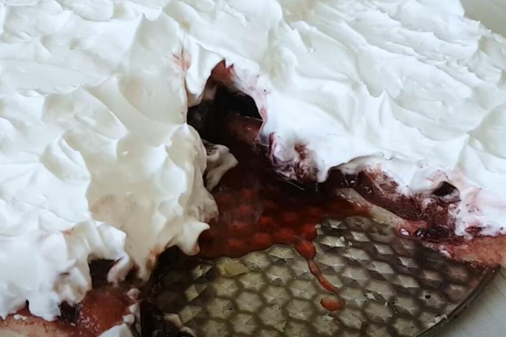 EVO KAKO DA ISKORISTITE VIŠAK ŠLJIVA NA NAJSLAĐI NAČIN: Brz recept koji će i MALIŠANI obožavati