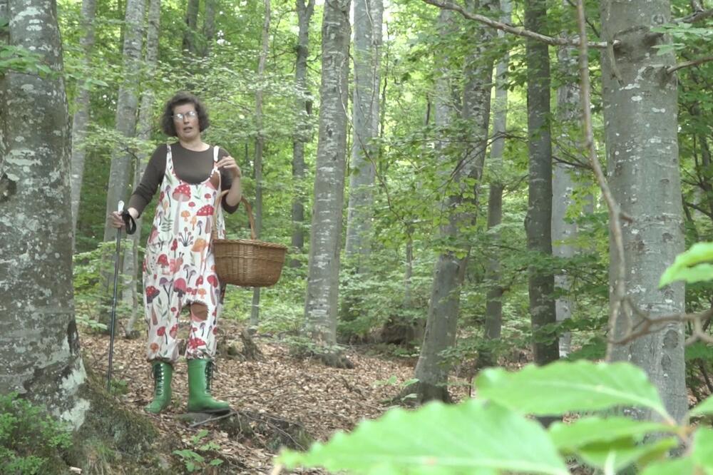 MILKA NAPUSTILA NOVINARSTVO I SVOJU OAZU NAPRAVILA BAŠ NA OVOM MESTU: Godinama izučava TAJANSTVENI SVET (FOTO)