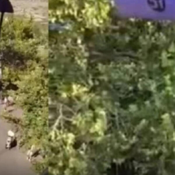 SNIMLJENA SMRT U LUNA PARKU! Visio sa 15 METARA visine, nije mu bilo SPASA (UZNEMIRUJUĆE)