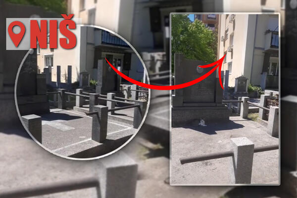 CELA SRBIJA GLEDA SNIMAK U ŠOKU, SAMO JE NIŠLIJAMA TO NORMALNO! Ko je ovde lud, procenite sami!? (VIDEO)