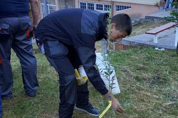 SREDNJOŠKOLCI IZ KOTORA UČESTVOVALI U EKO DANU BOKE: Ulepšali DVORIŠTE sadnicama MASLINA i maginja! (FOTO)