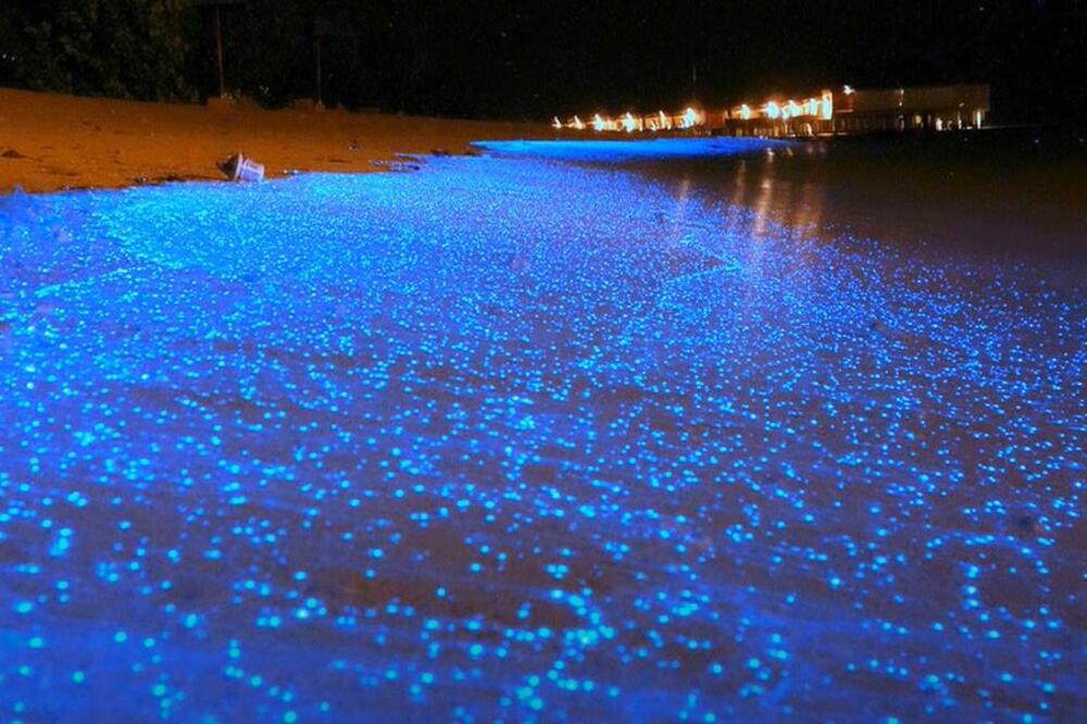 NE SANJATE, MORE STVARNO SIJA! Fenomen VODE na MALDIVIMA ostavlja BEZ DAHA - nestvaran PRIZOR koji se ne PROPUŠTA!