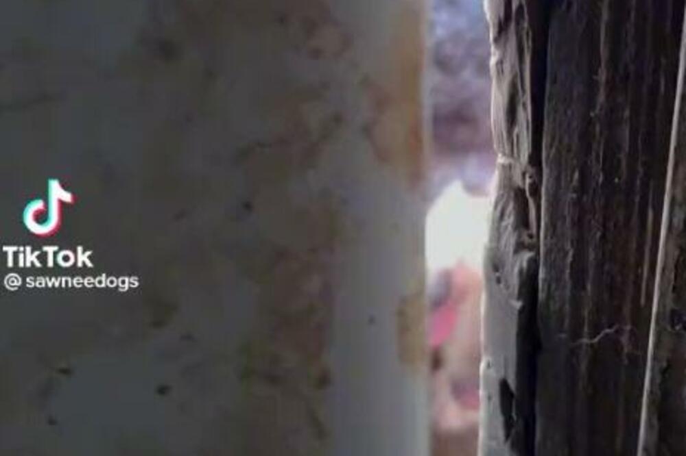 OVO MORATE VIDETI ZA DOBRO JUTRO: Svi na GOMILI, mrtva trka ko će PRVI (VIDEO)