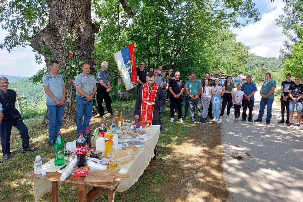 HRAST STAR 8 VEKOVA POSADILA JE CARICA MILICA POVLAČEĆI SE SA KOSOVA: Kažu da je to SVETO MESTO! (FOTO)