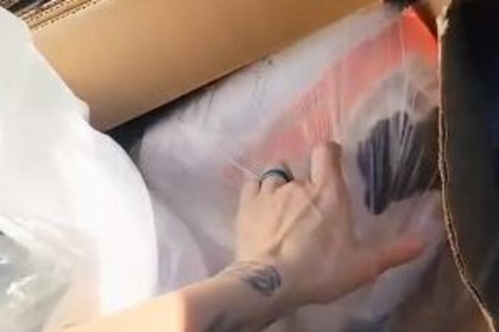 KOPALA JE PO KONTEJNERU, PA ZANEMELA KADA JE VIDELA ŠTA LJUDI BACAJU: A tek šta je URADILA sa STVARIMA, ŠOK! VIDEO