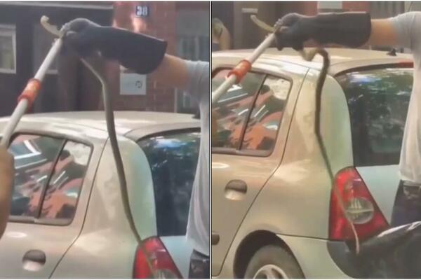 GLEDATE NA SOPSTVENU ODGOVORNOST! Beograđani izvukli "KAPITALCA" OD METAR, virio kod štop svetla, DA SRCE STANE