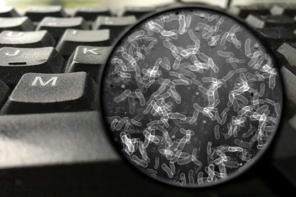 OVI PREDMETI U KUĆI SU LEGLO BAKTERIJA I ZARAZA: Dodirujete ih SVAKODNEVNO, a niste imali pojma koliko su PRLJAVI