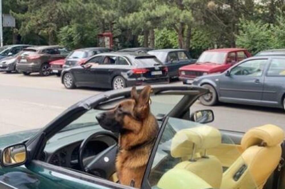 FOTKA DANA: Ovako se uživa! NA OTVORENOM NEBU I U UDOBNOM SEDIŠTU (FOTO)