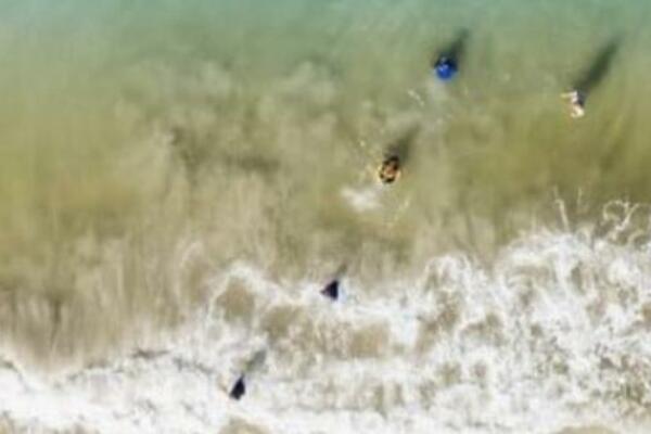 FILMSKA SCENA NA FLORIDI: Snimao porodicu na plaži, pa u kadru ugledao nešto STRAVIČNO! (FOTO)