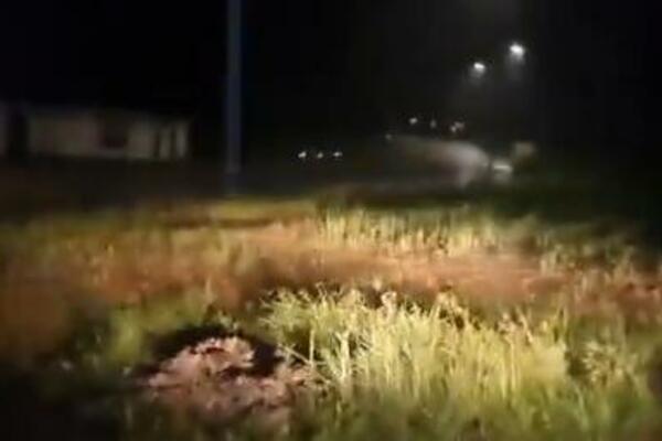 OLUJA UPALILA CRVENI ALARM U SLOVENIJI! Vetar DIVLJAO gradom, rušio SVE pred sobom- DRAMATIČNO! (FOTO/VIDEO)