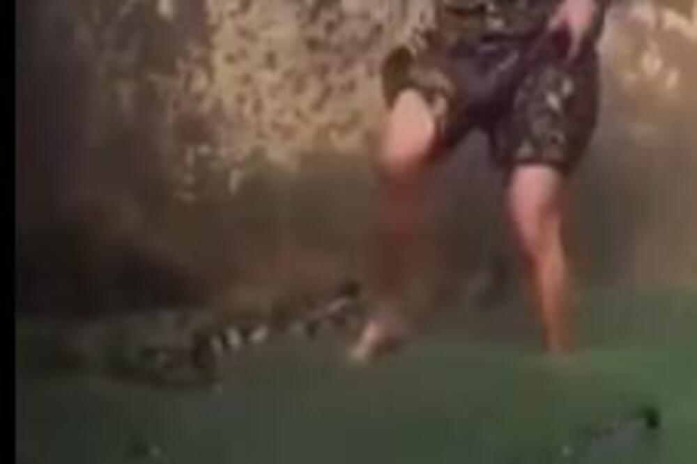 OVAJ ČOVEK IMA ČELIČNA J*JA! Uskočio u bazen pun KROKODILA, evo šta mu se DESILO (VIDEO)