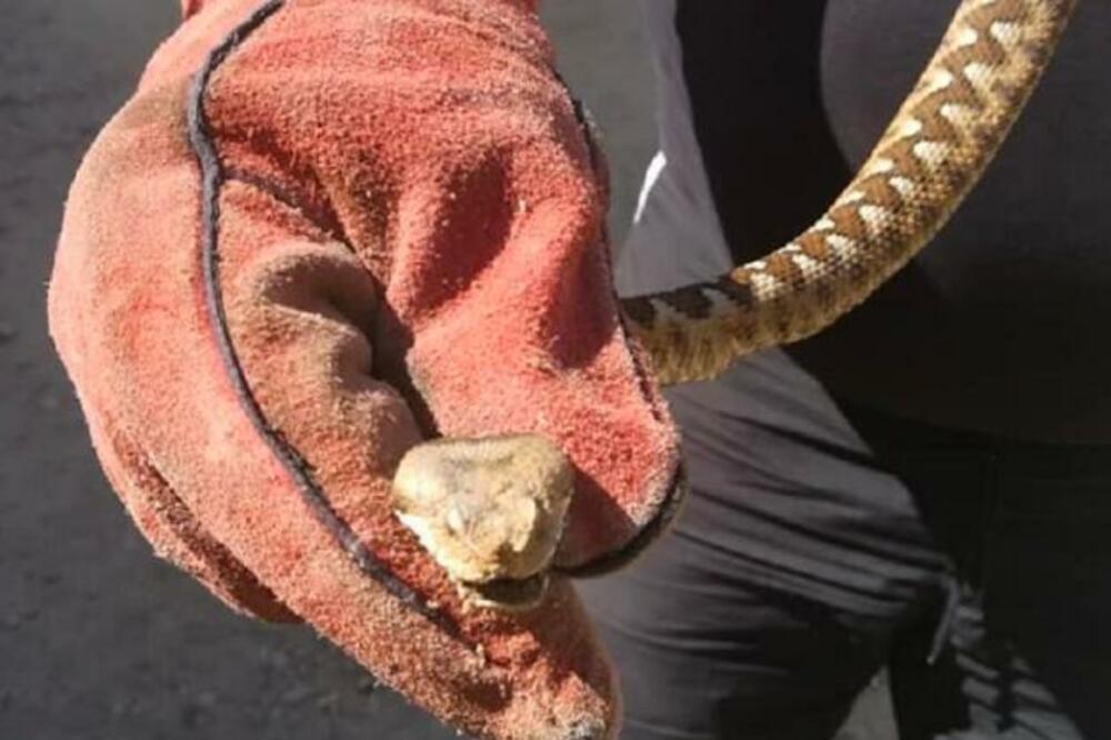 POSKOK UJEO ŽENU PRED KUĆOM: 10 minuta pre toga tu su se IGRALA DECA, stravično!