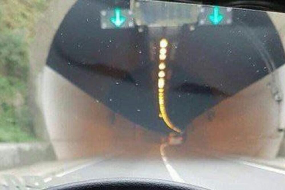 SLIKA KOJA ODIŠE PROSTAKLUKOM! Svi bi da UĐU, a evo šta je PRAVA POZADINA (FOTO)