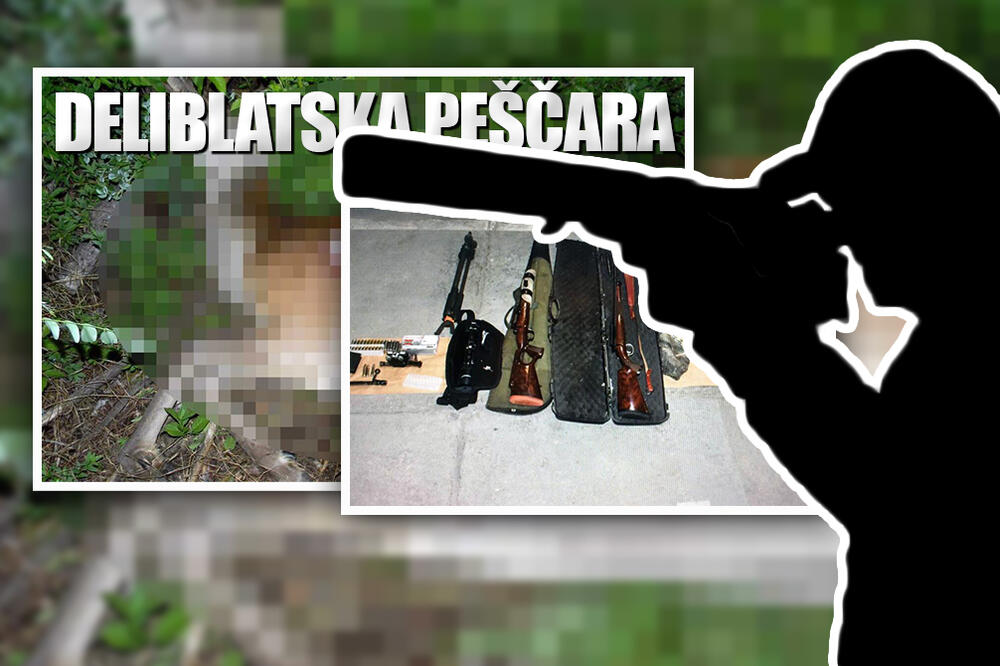 KRIVOLOVAC UBIO KOŠUTU U DELIBLATSKOJ PEŠČARI: Bila je skotna, TUGA! (FOTO)