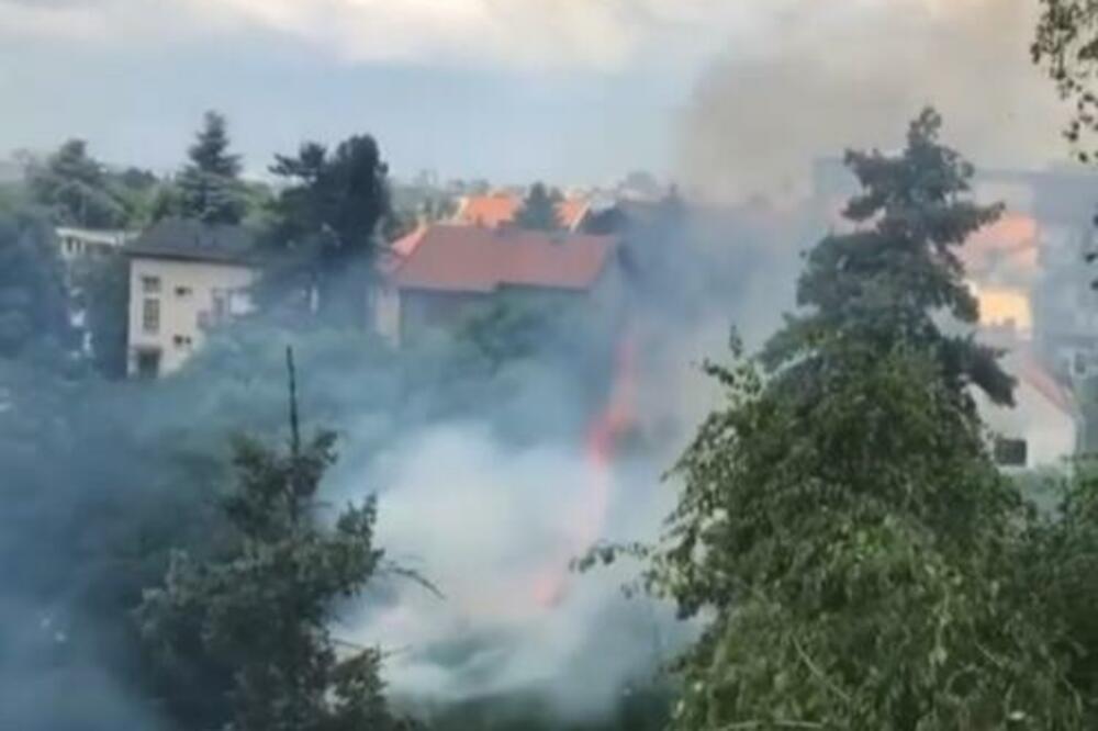 ZAJEDNO S MONASIMA KRČIO KOROV PA NASTRADAO U POŽARU: Novi detalji tragedije u blizini manastira na FRUŠKOJ GORI