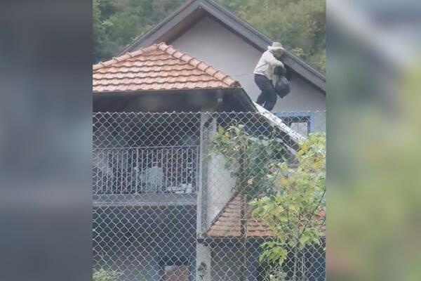 MOŽE DA SE UMRE OD SAMO JEDNOG NJIHOVOG UJEDA, GNEZDA PRAVE U ROLETNAMA I KREVETU: Arsenije ih lovi! (FOTO)
