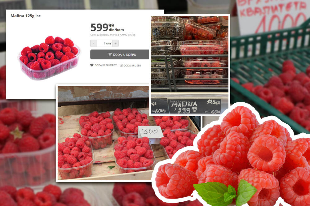 KILOGRAM "CRVENOG ZLATA" SKUPLJI OD PRAVOG ZLATA: Proverili smo da li MALINE zaista koštaju 5.000 i ŠOKIRALI SE!