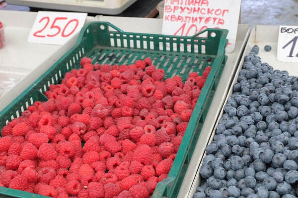 MINISTARKA POLJOPRIVREDE PROGOVORILA O CENI MALINE: Ovo su svi detalji