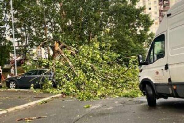 ČELNICI MOLE BEOGRAĐANE DA POŠTUJU PRAVILA ZA VREME OLUJE: Izbegli smo TRAGEDIJU, ali budite SPREMNI