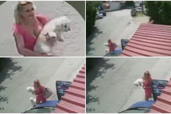 NABUDŽILA DEKOLTE, PA KRENULA U AKCIJU: Skockana GOSPOĐA krade PSA u Beogradu, SVE JE SNIMLJENO! (VIDEO)